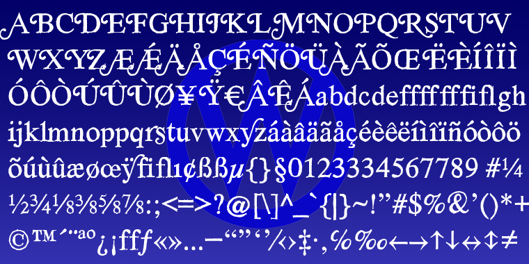 SoftTimes Roman Font Poster #1
