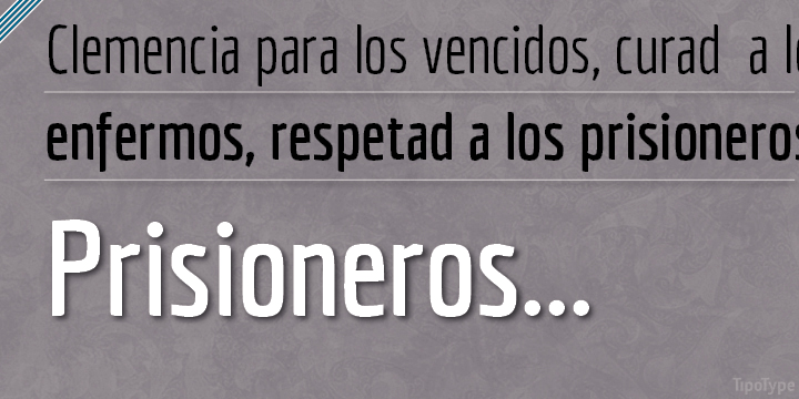 Economica Font Poster #1