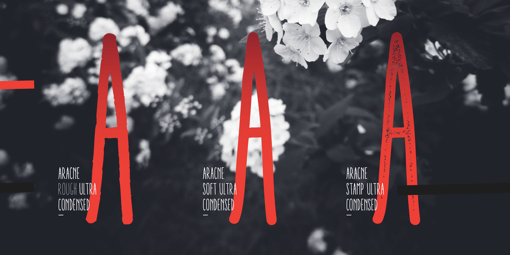 Aracne Ultra Condensed Font Poster #1