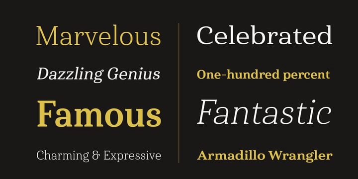 Haboro Serif Font Poster #1