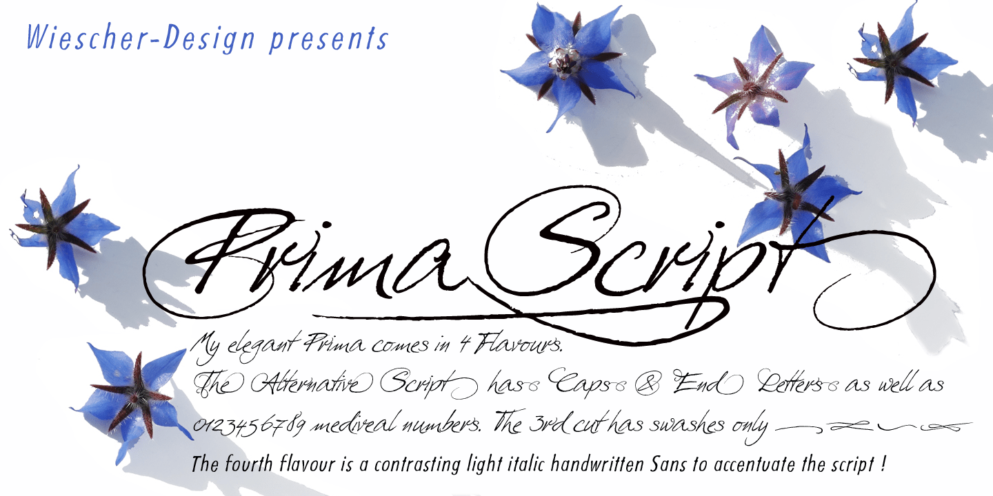 Prima Script Font Poster #1
