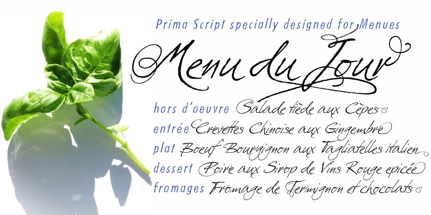 Prima Script Font Poster #1