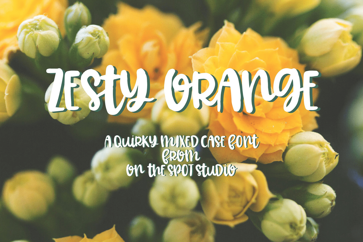 Zesty Orange Font Family Poster