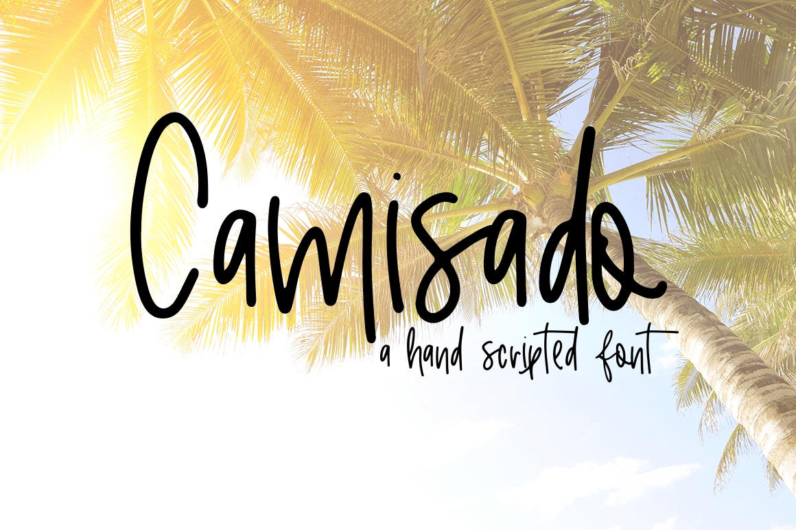 Camisado Font Family Poster
