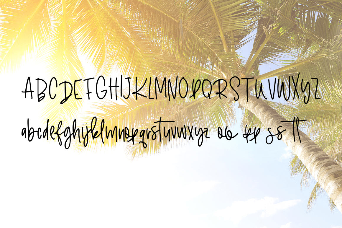 Camisado Font Poster #3