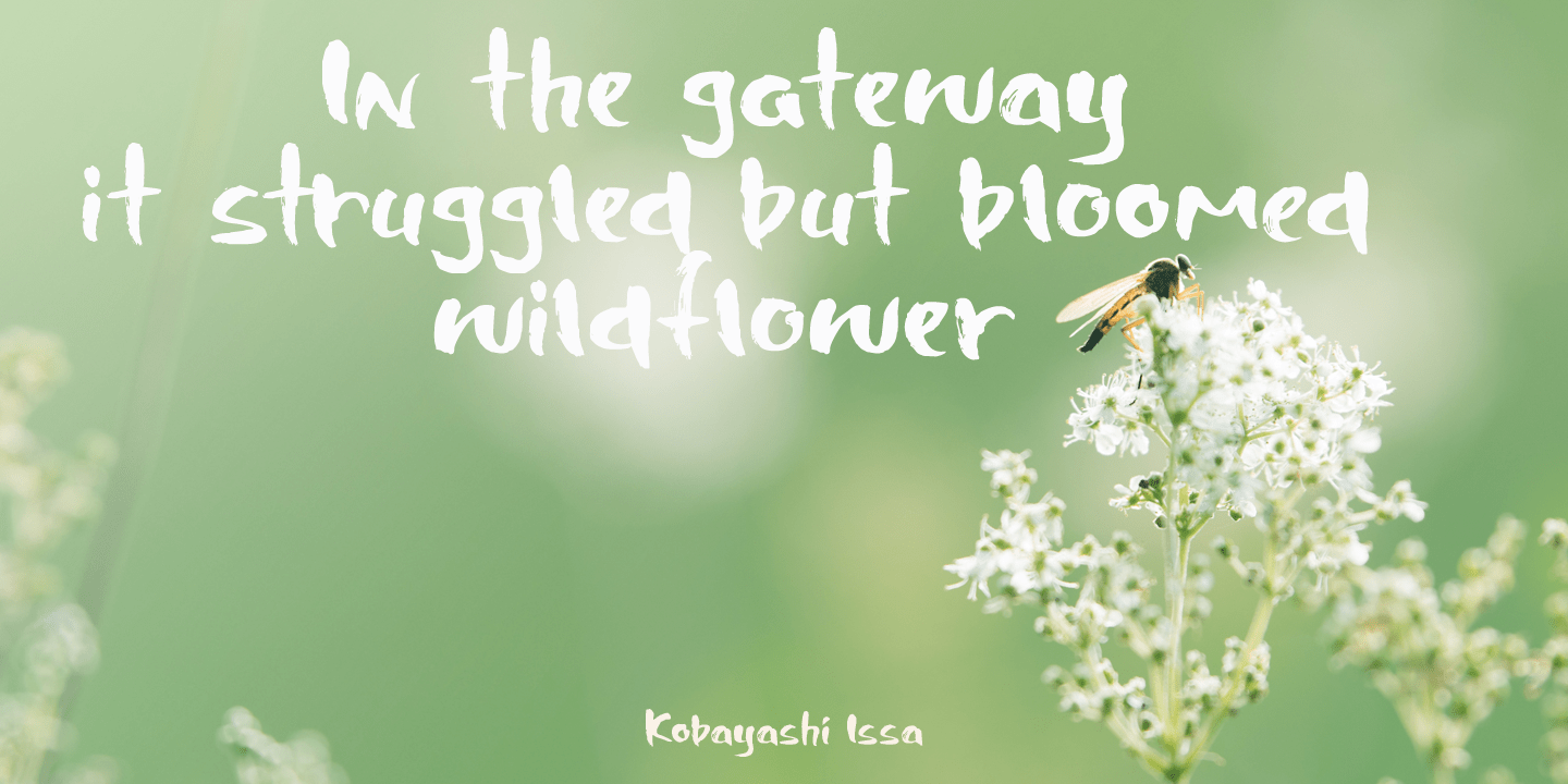 Shinano Font Poster #1