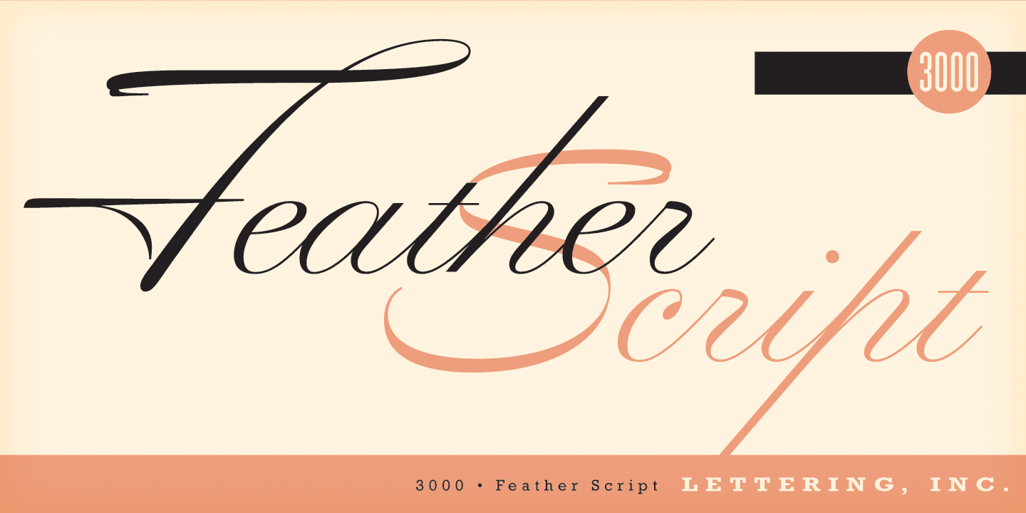 Feather Script Regular Font Poster #1