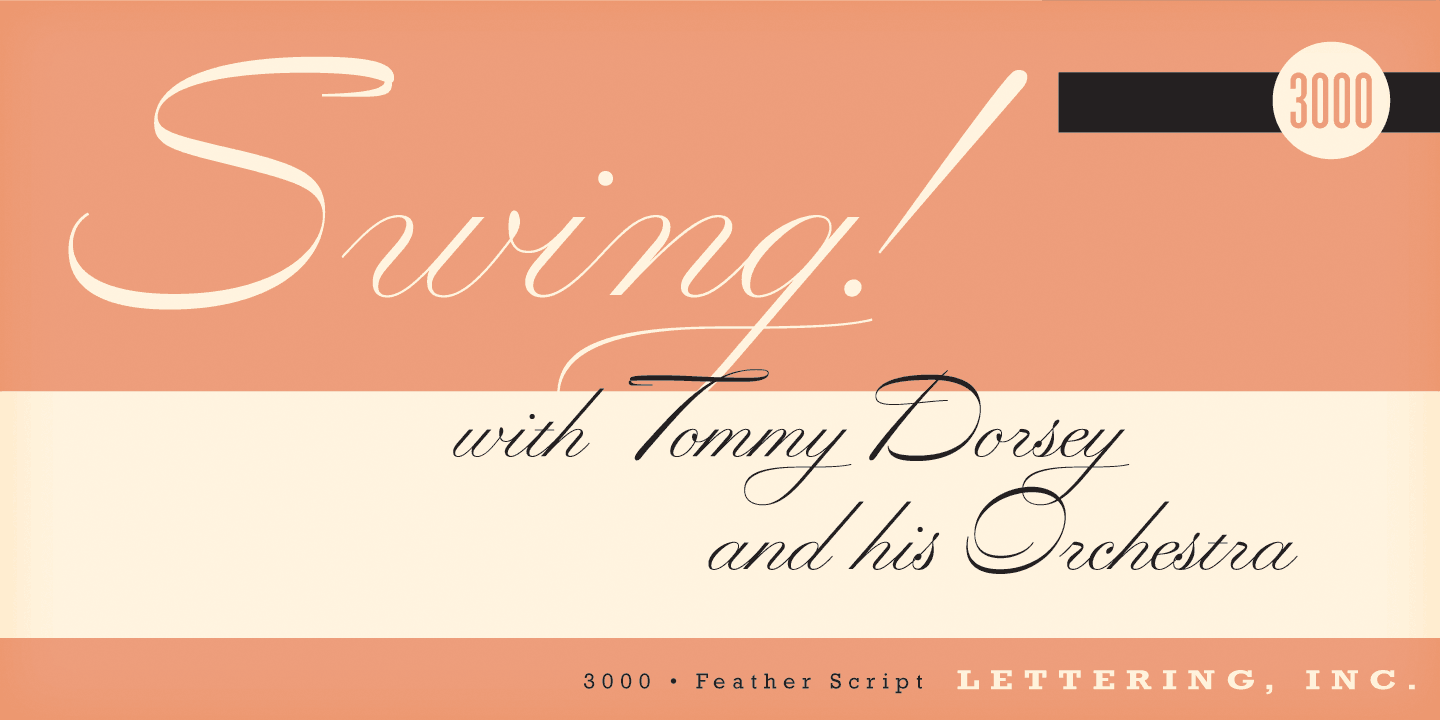 Feather Script Regular Font Poster #1