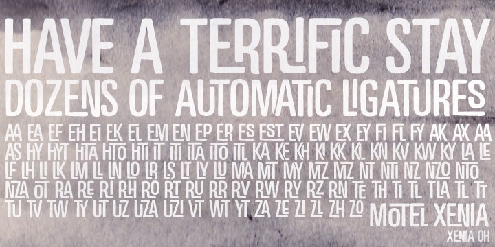 Motel Xenia Font Poster #1