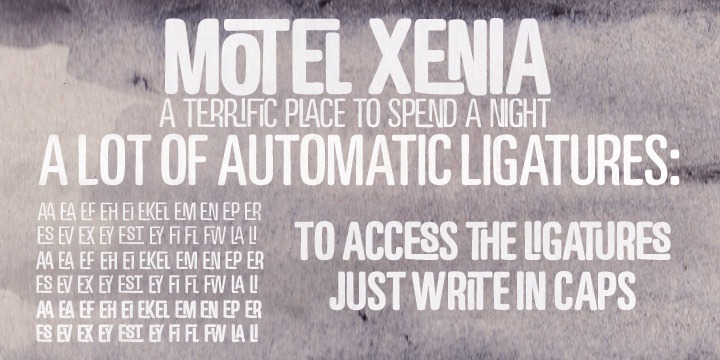 Motel Xenia Font Poster #1