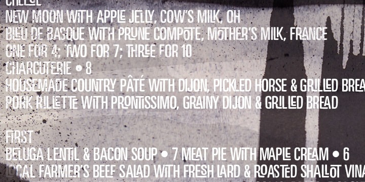 Motel Xenia Font Poster #1