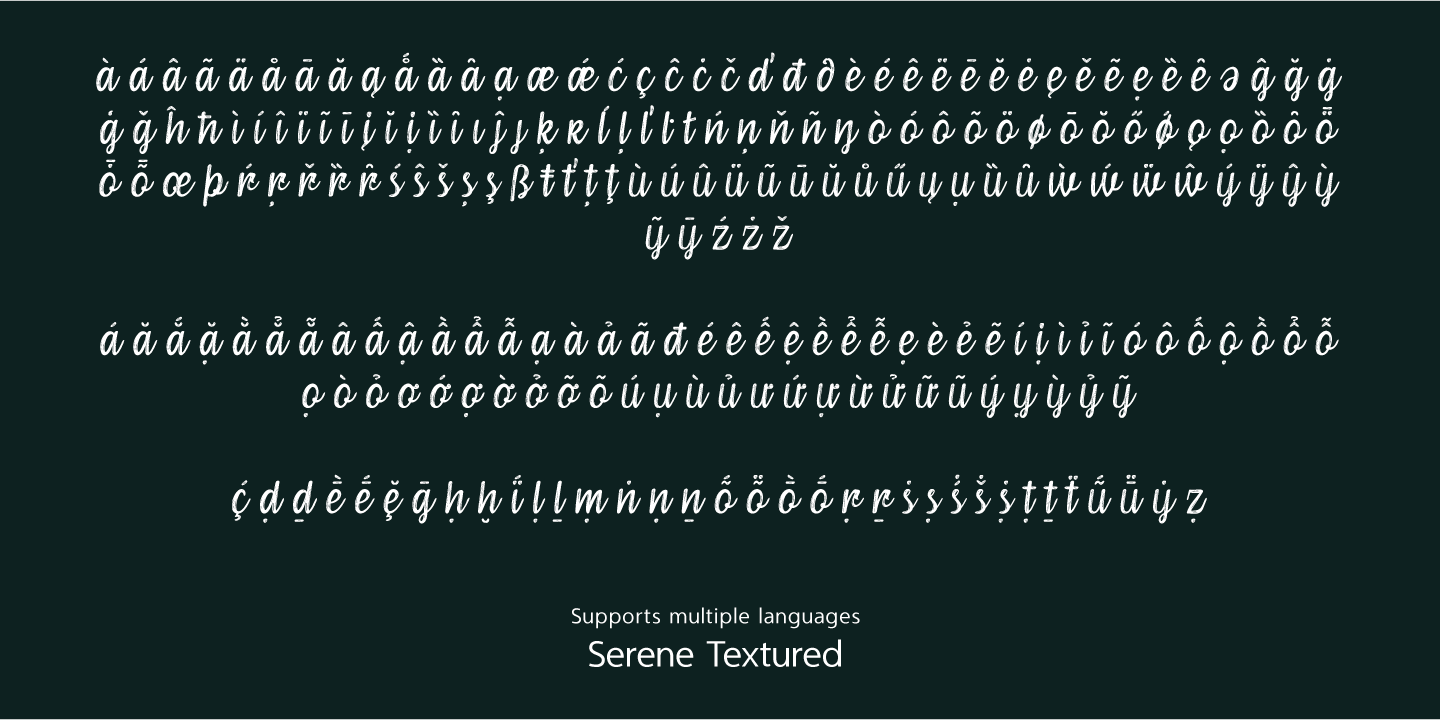 Serene Textured Script Font Poster #1