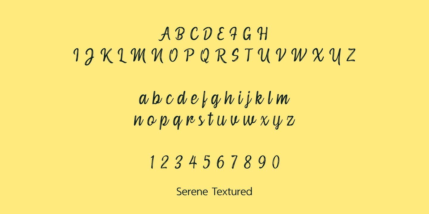 Serene Textured Script Font Poster #1