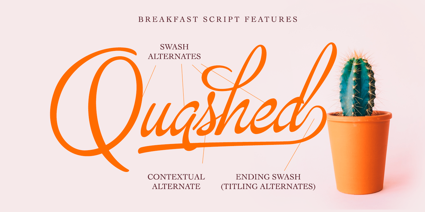 Breakfast Script Font Poster #1