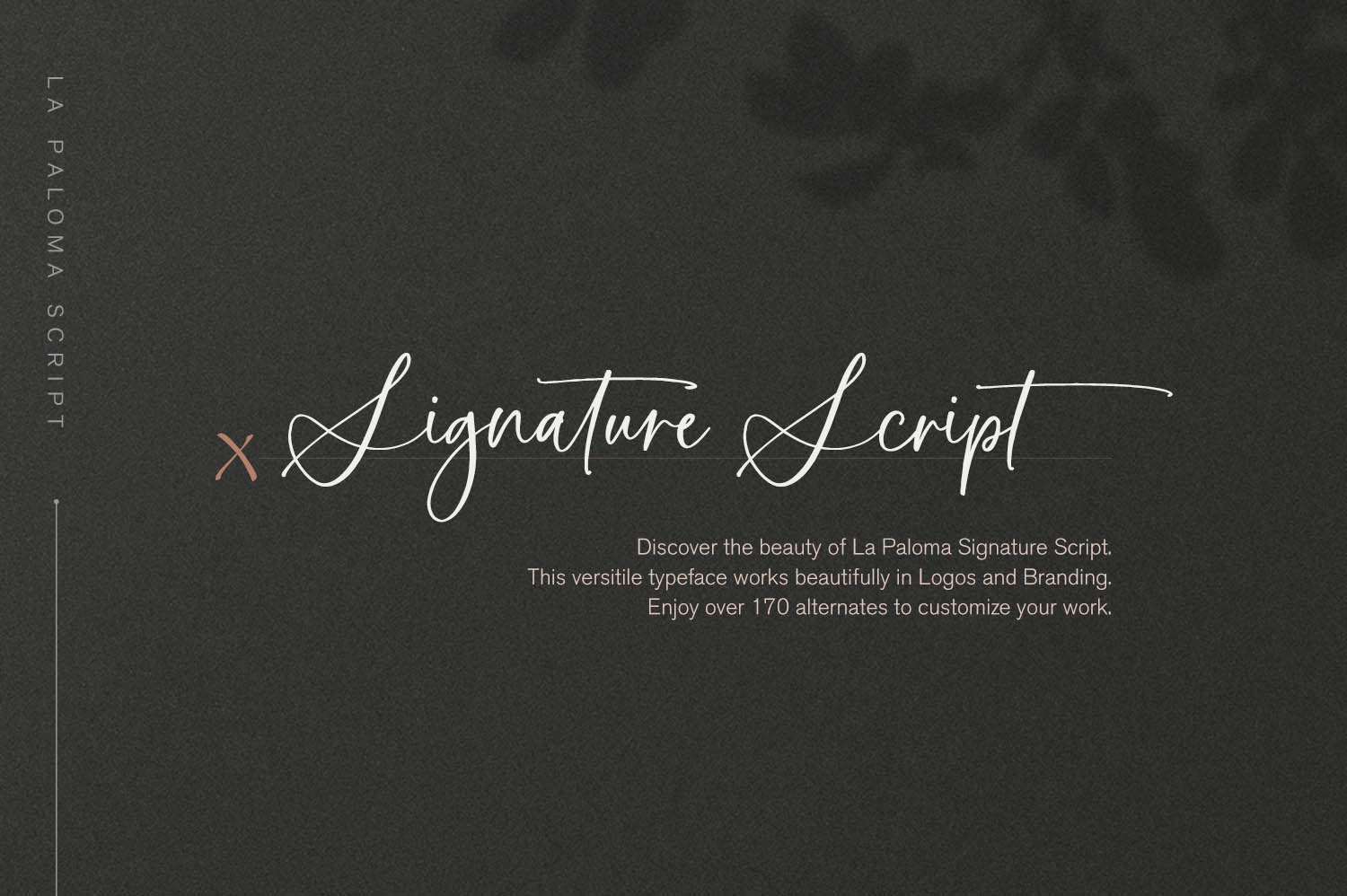 La Paloma Font Poster #1