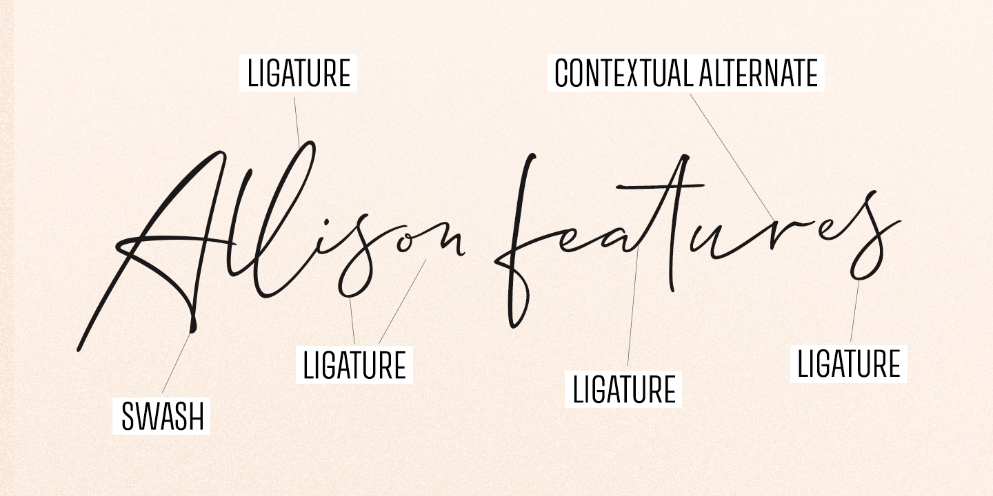 Allison Script Font Poster #1