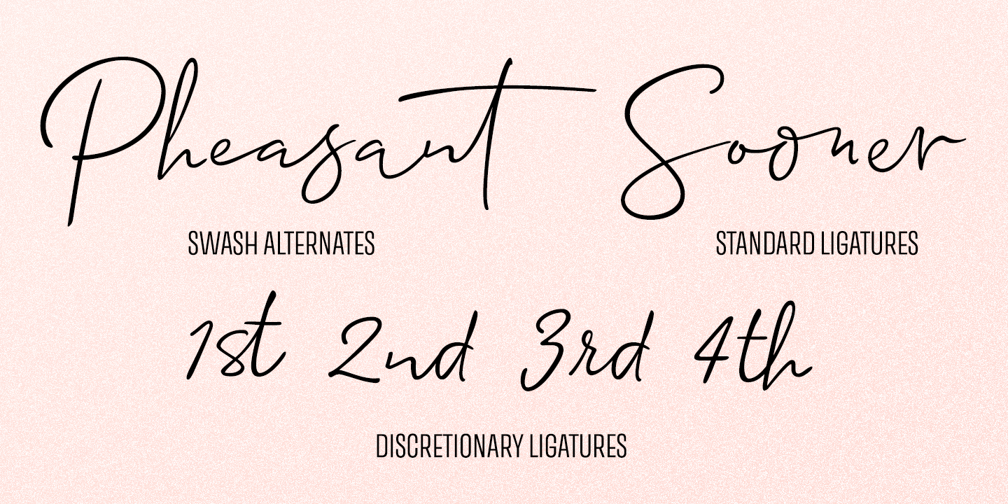 Allison Script Font Poster #1