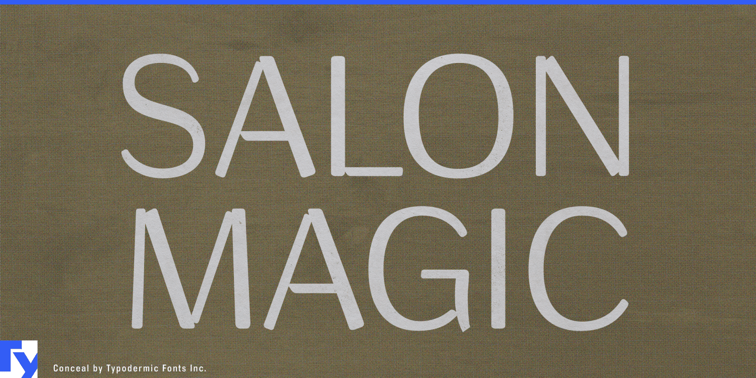 Conceal Font Poster #1