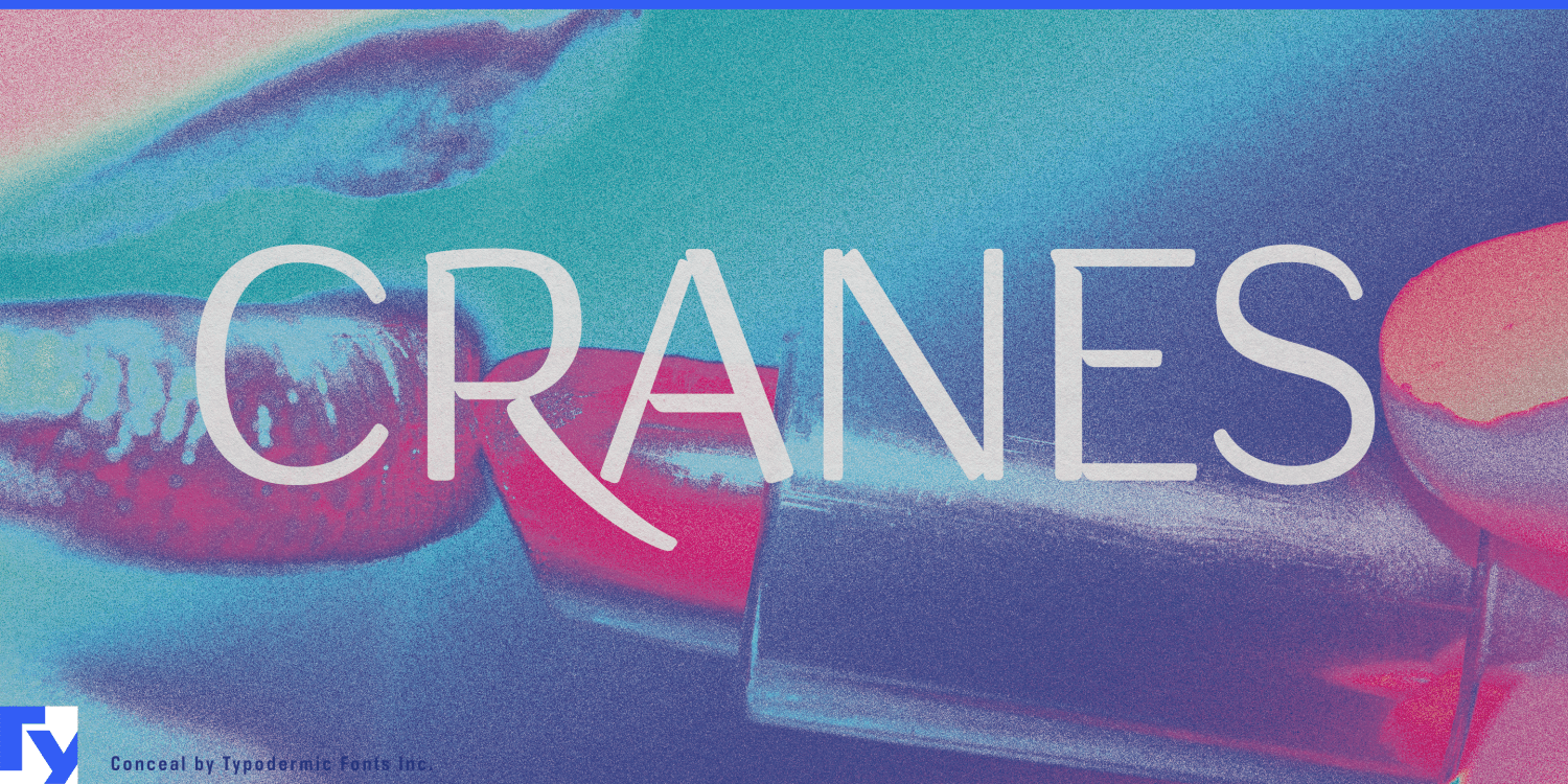 Conceal Font Poster #1