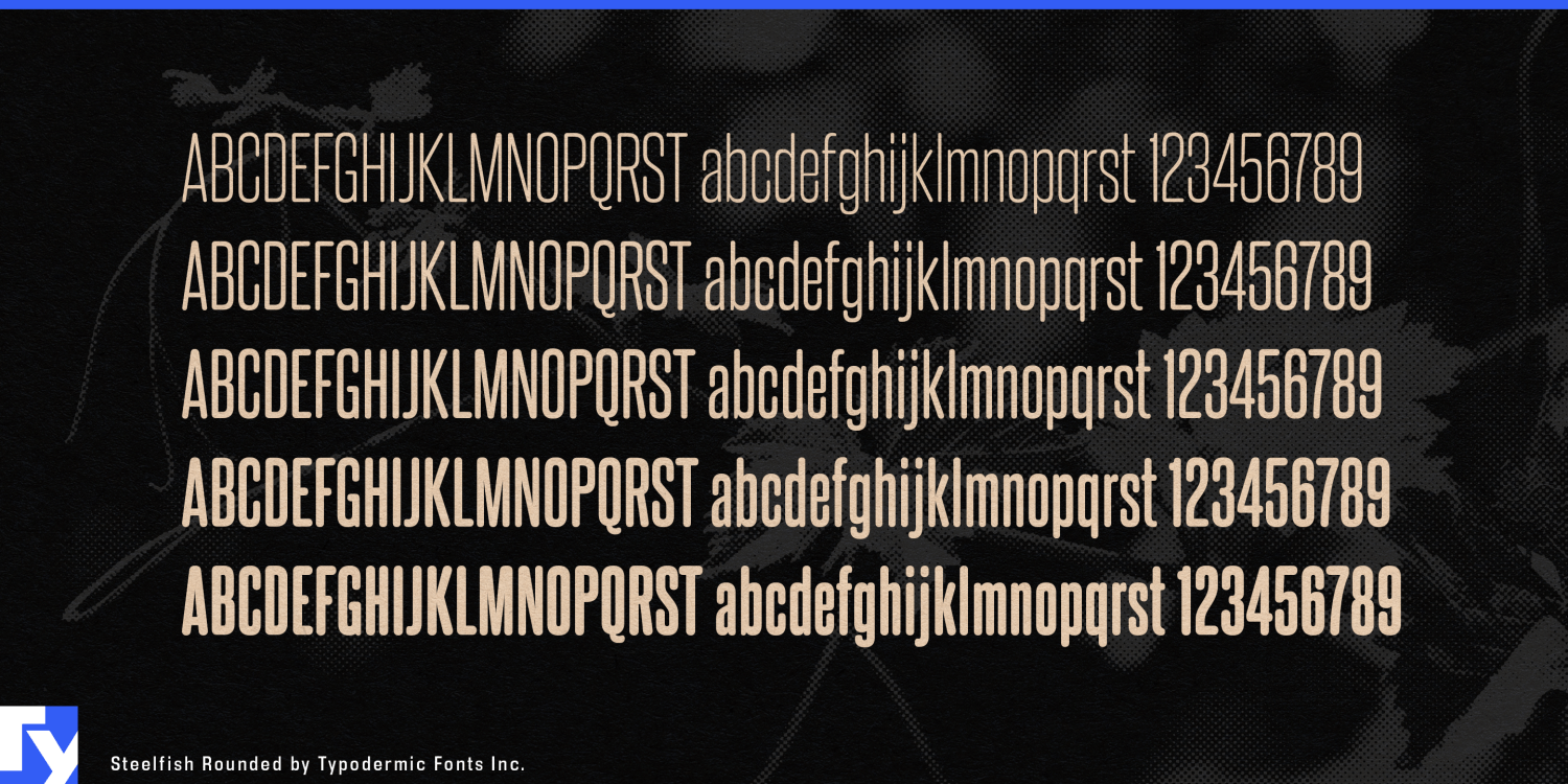 Steelfish Rounded Font Poster #1