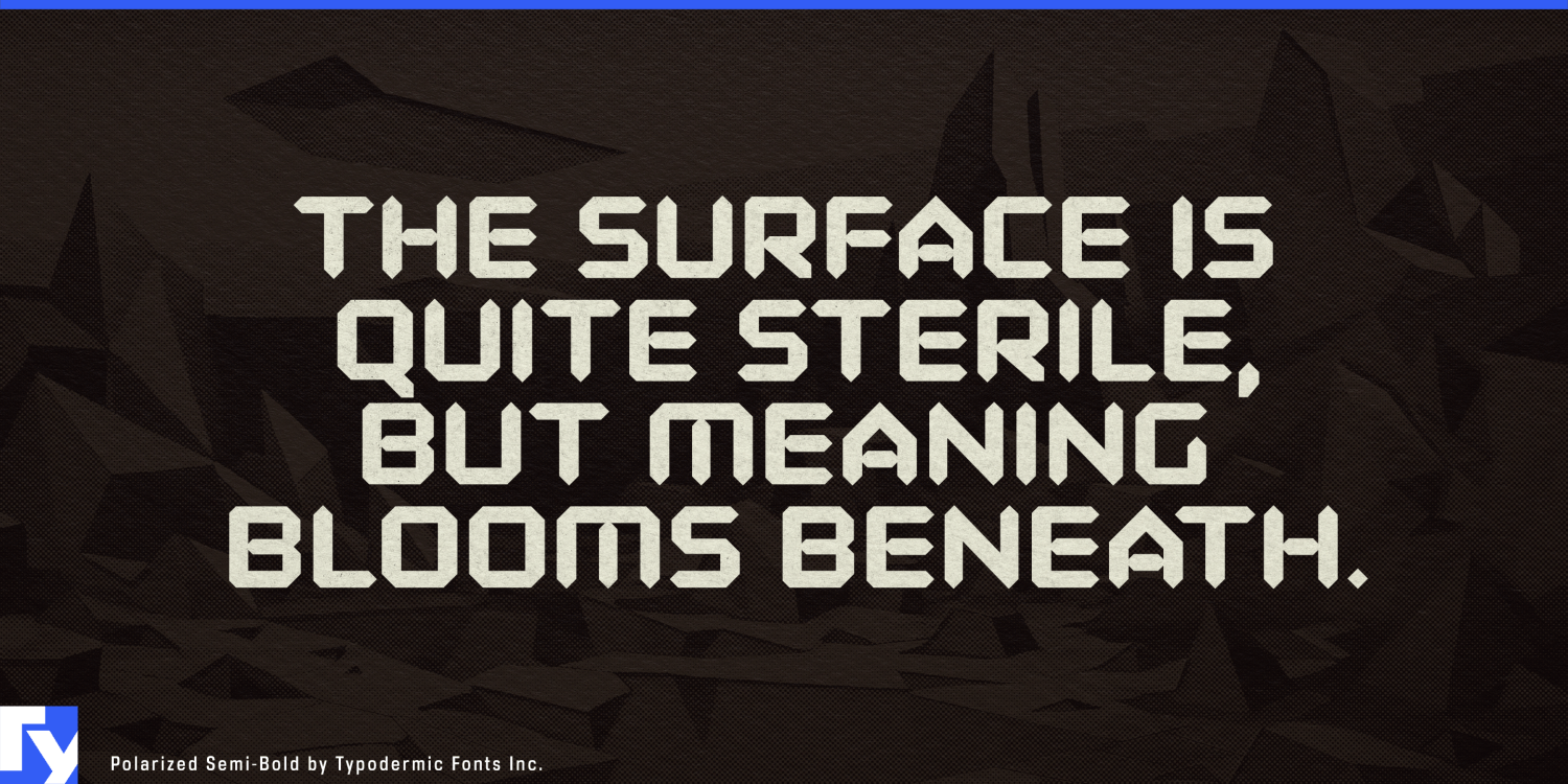 Polarized Font Poster #1
