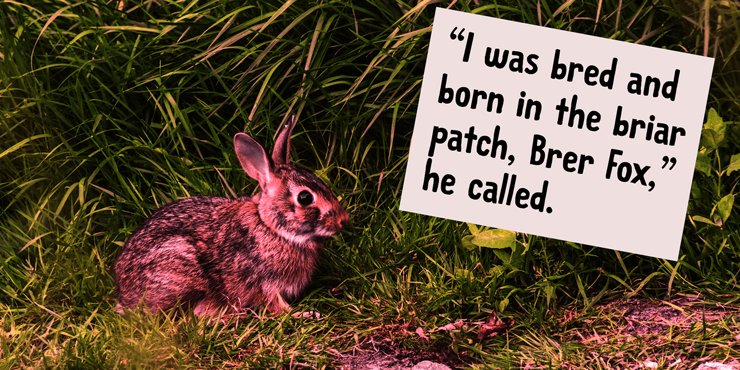 Brer Rabbit Font Poster #1