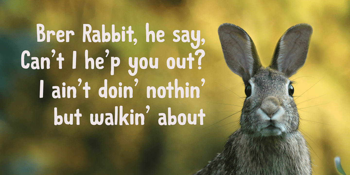 Brer Rabbit Font Poster #1
