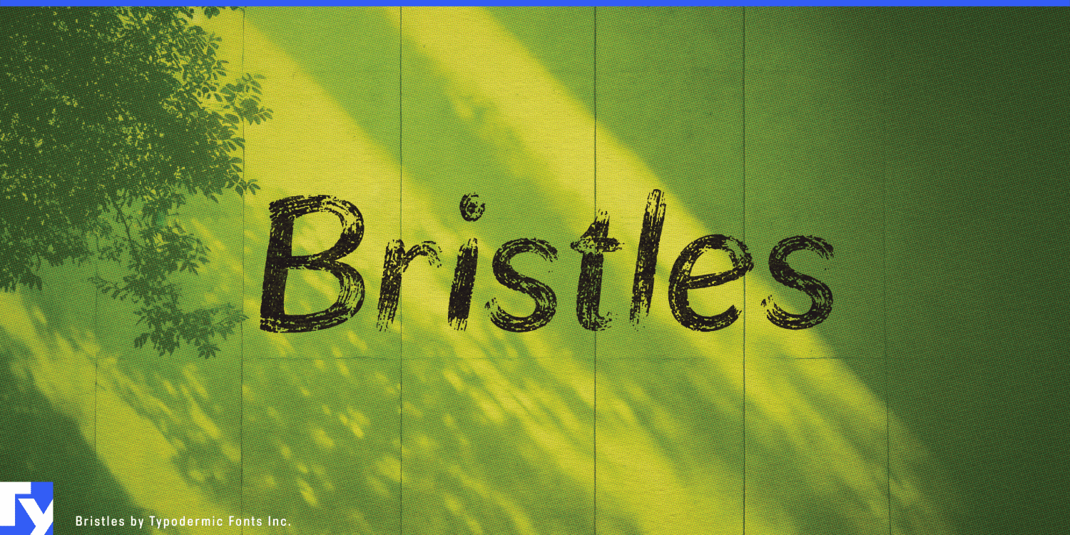 Bristles Font Poster #1