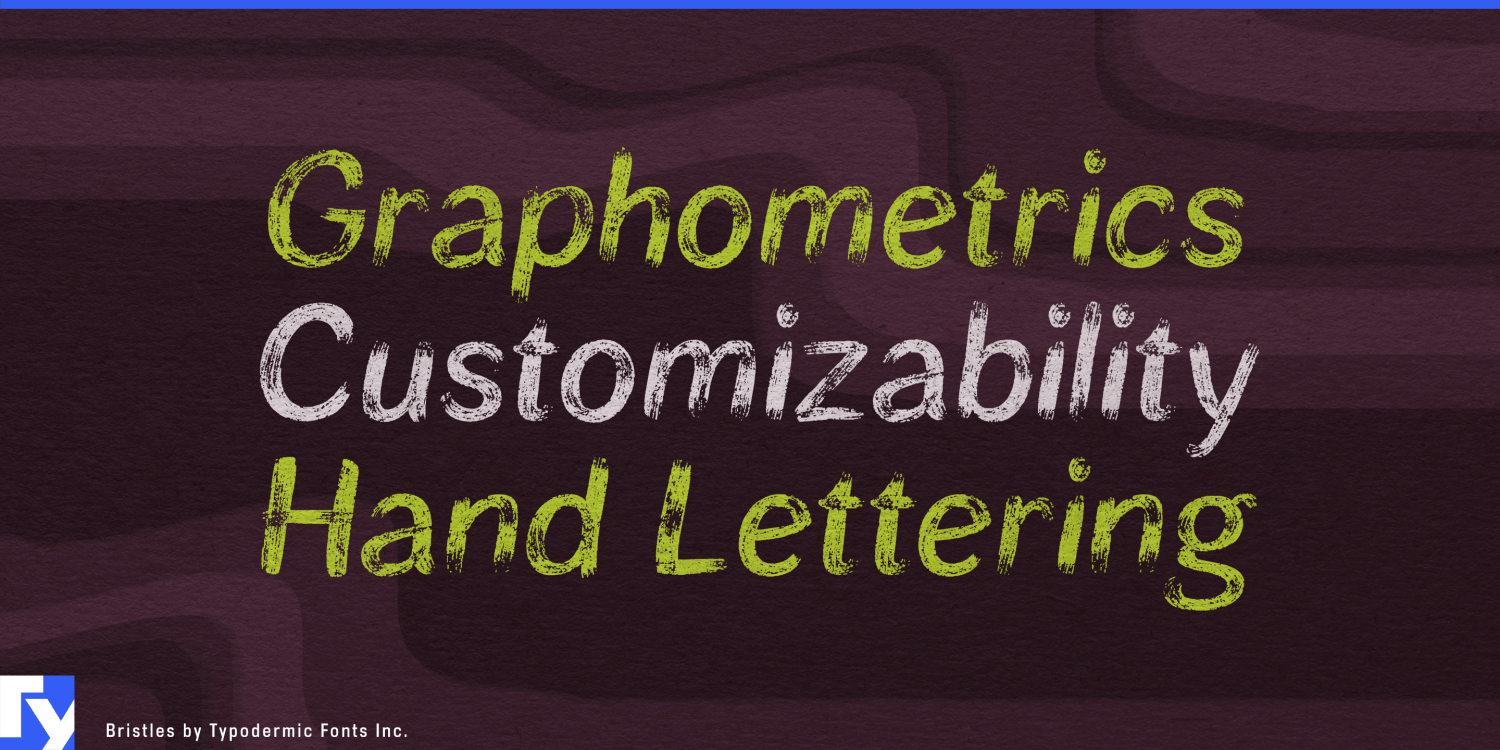 Bristles Font Poster #1