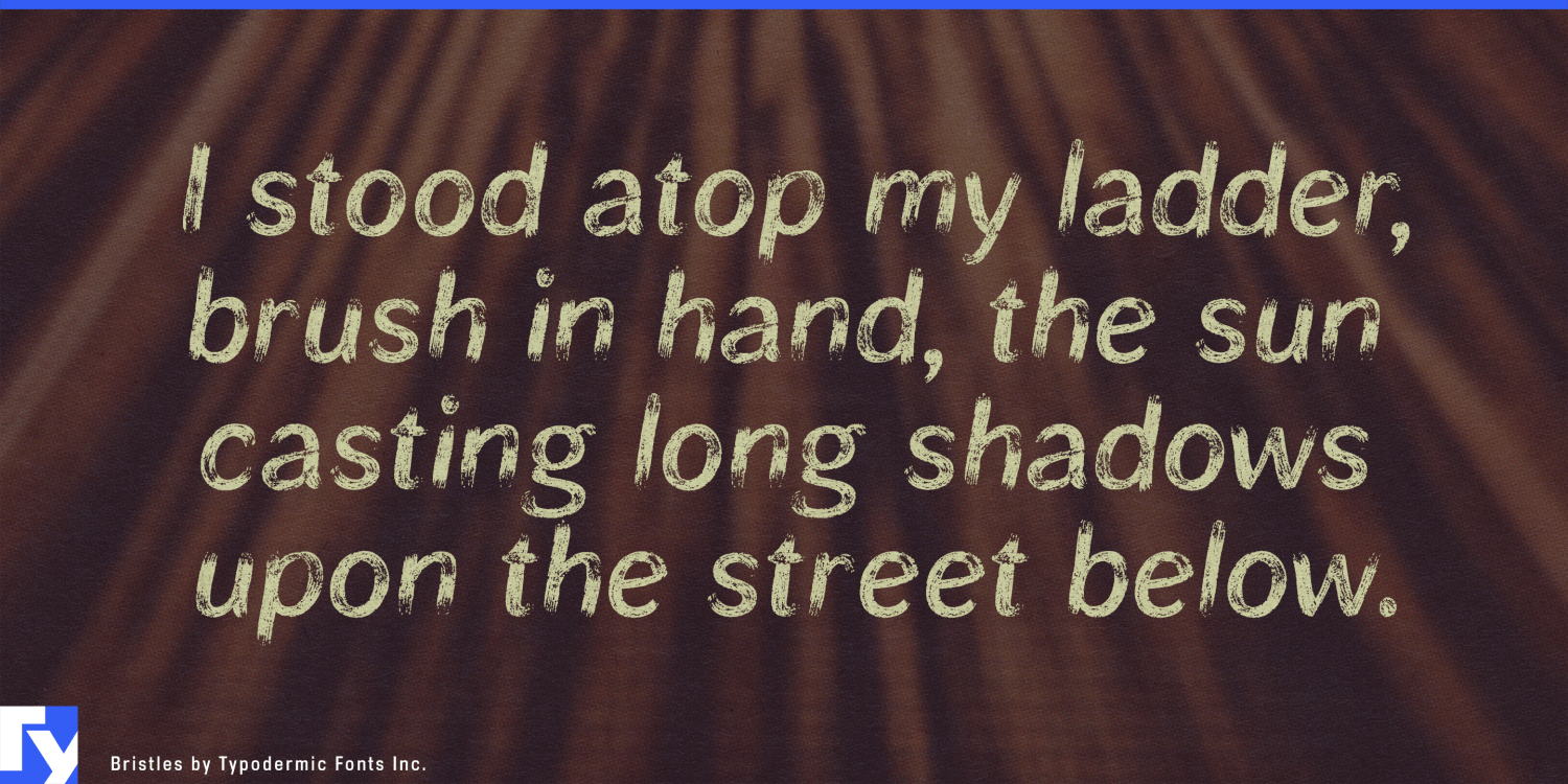 Bristles Font Poster #1
