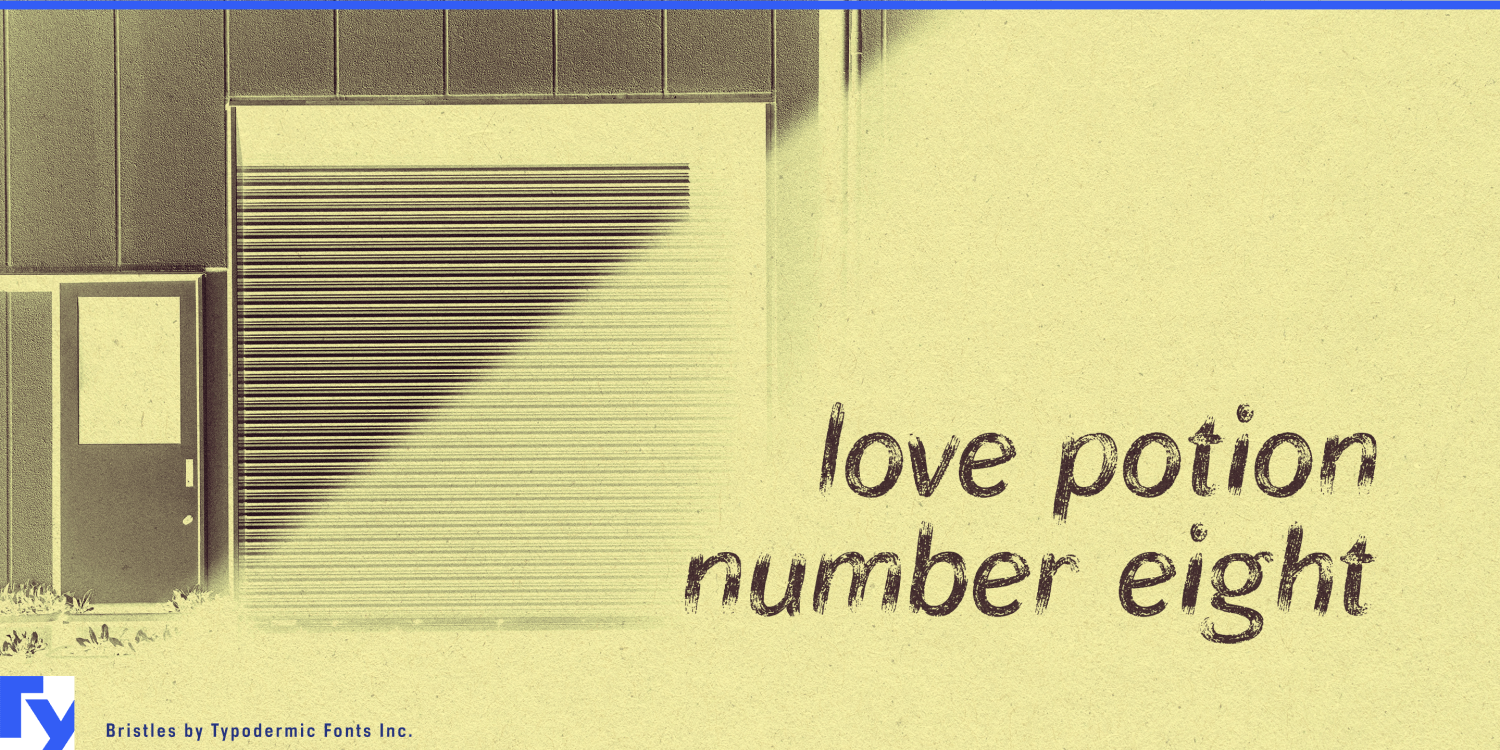 Bristles Font Poster #1