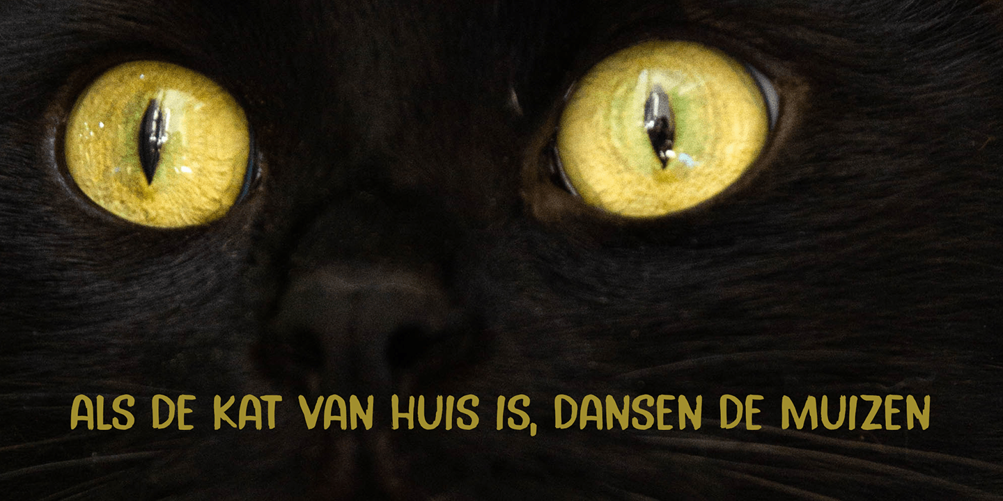 Trollkatt Font Poster #1