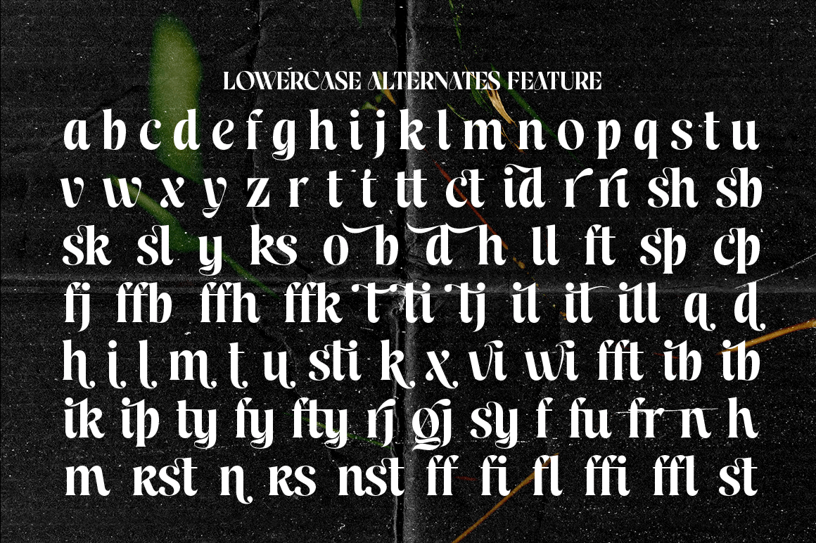 Celion Font Poster #1