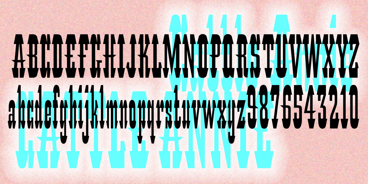 Cattle Annie Font Family Poster