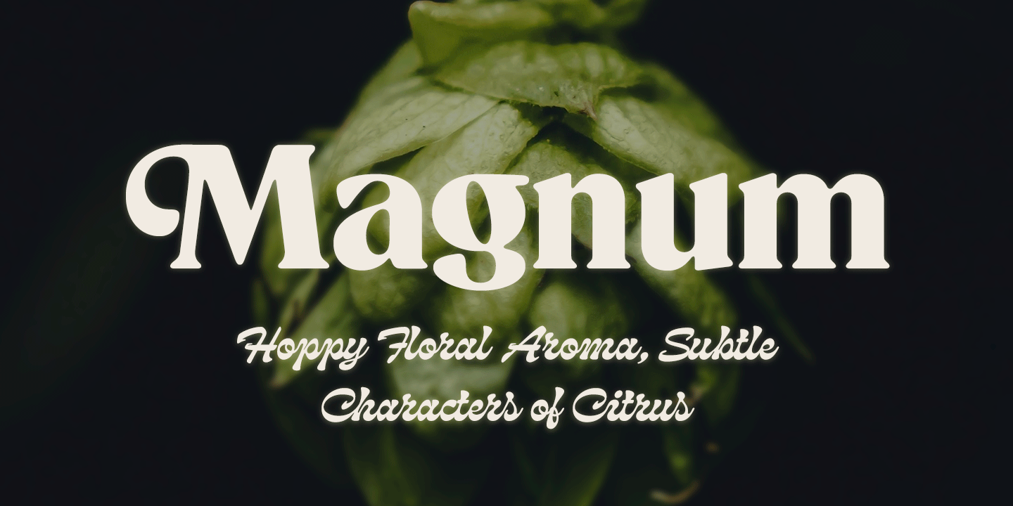 Beckenham Font Poster #1