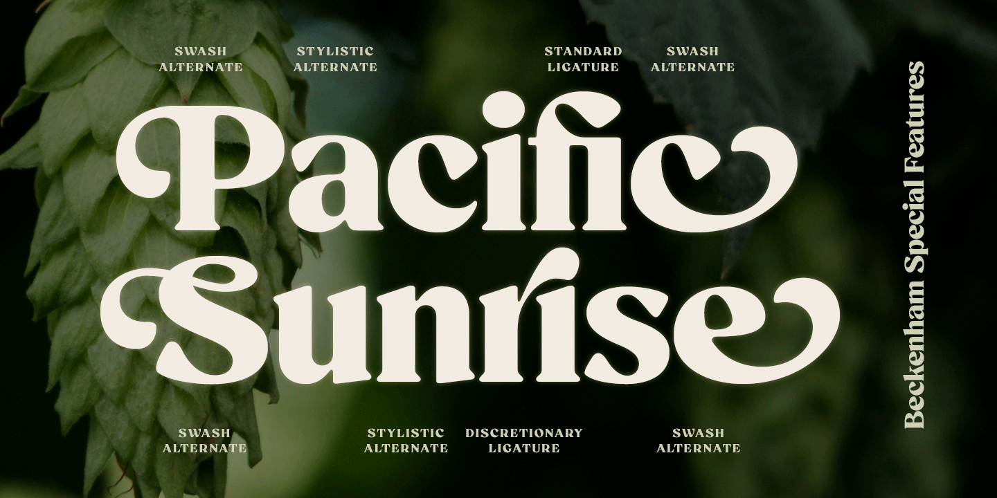 Beckenham Font Poster #1