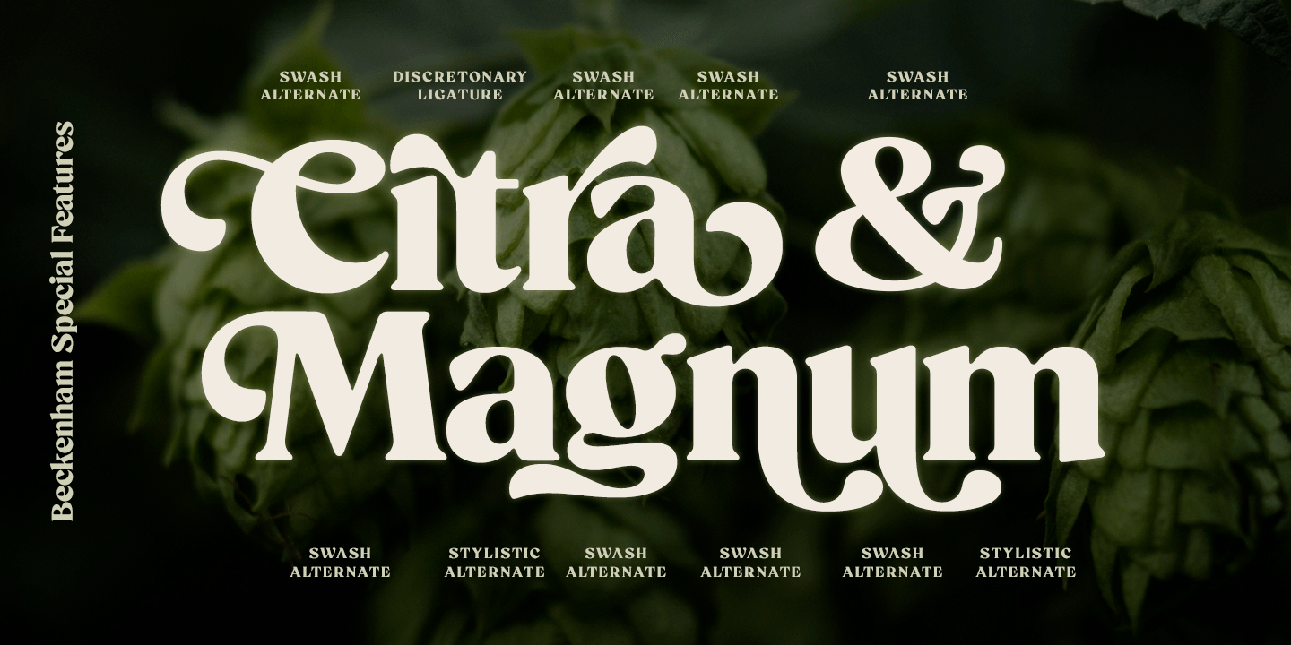 Beckenham Font Poster #1