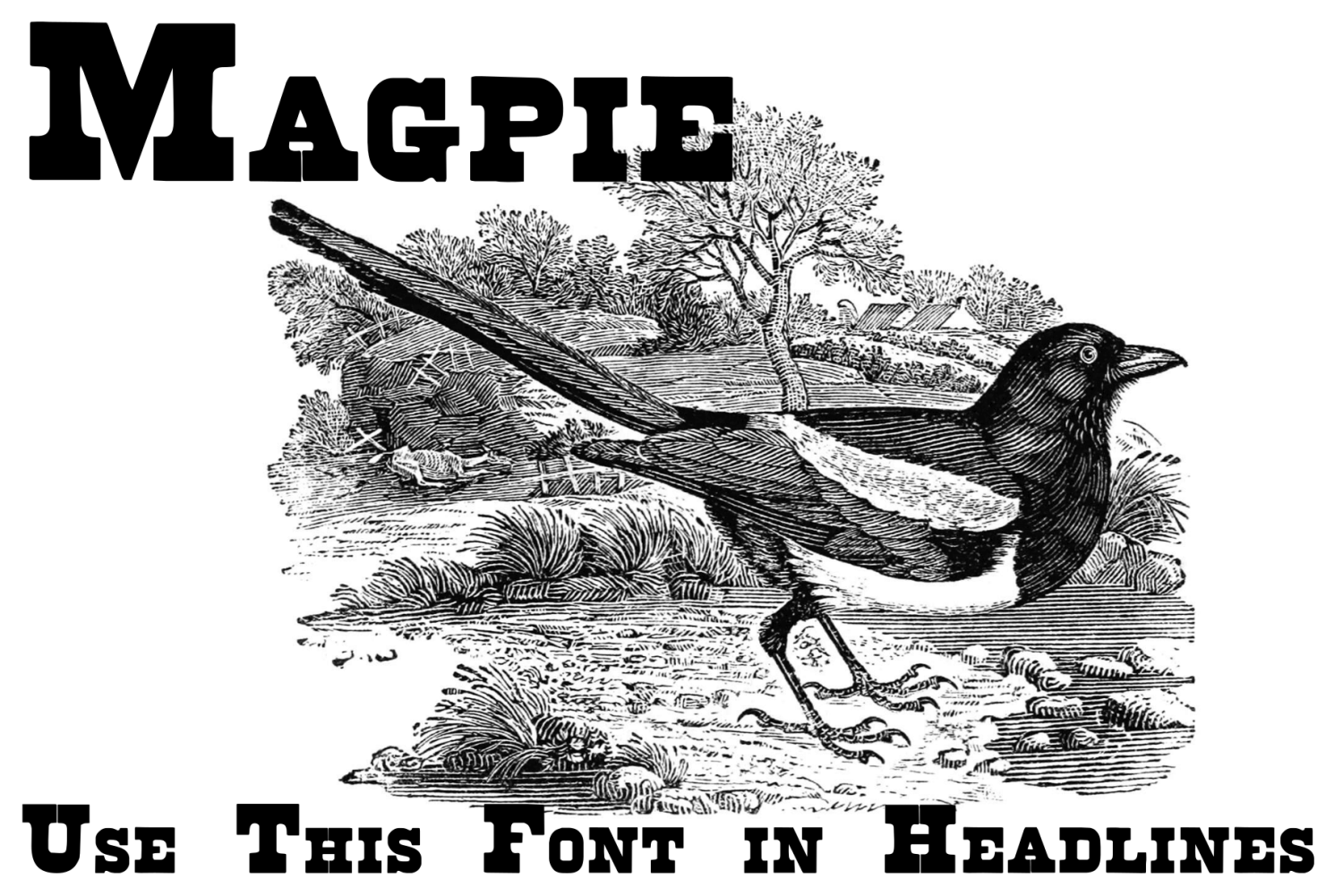 Brute Aldine Font Poster #1