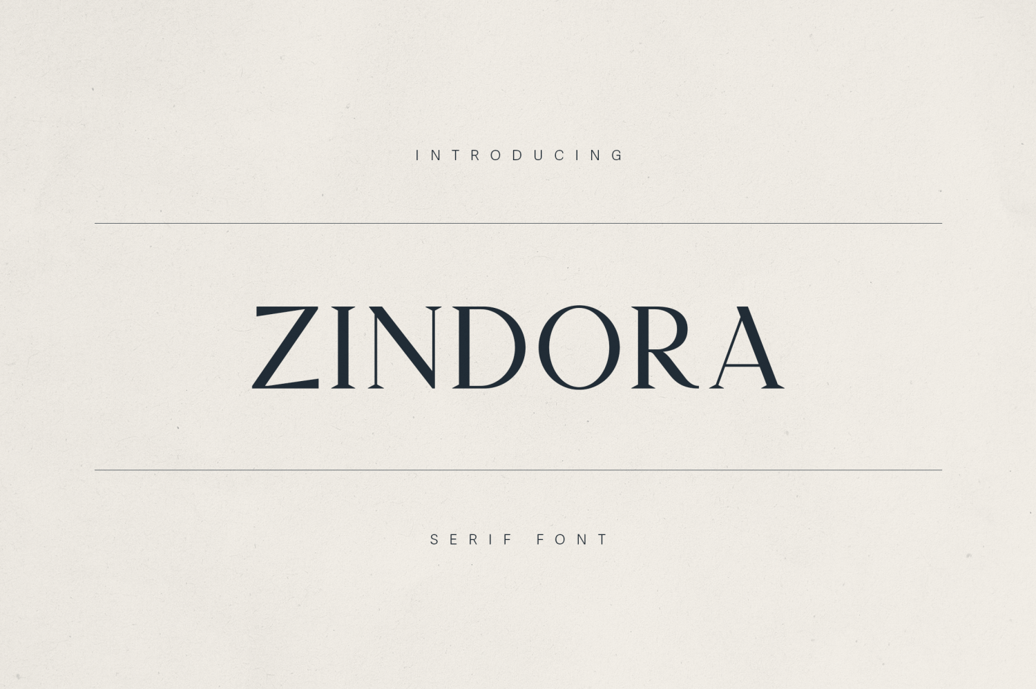 Zindora Poster