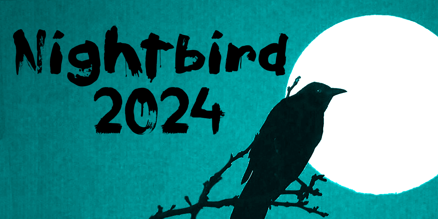 Nightbird 2024 Font Poster #1