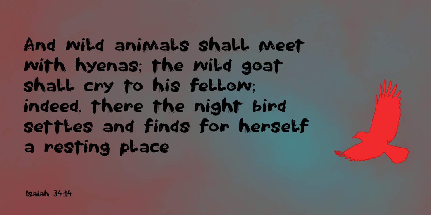 Nightbird 2024 Font Poster #1