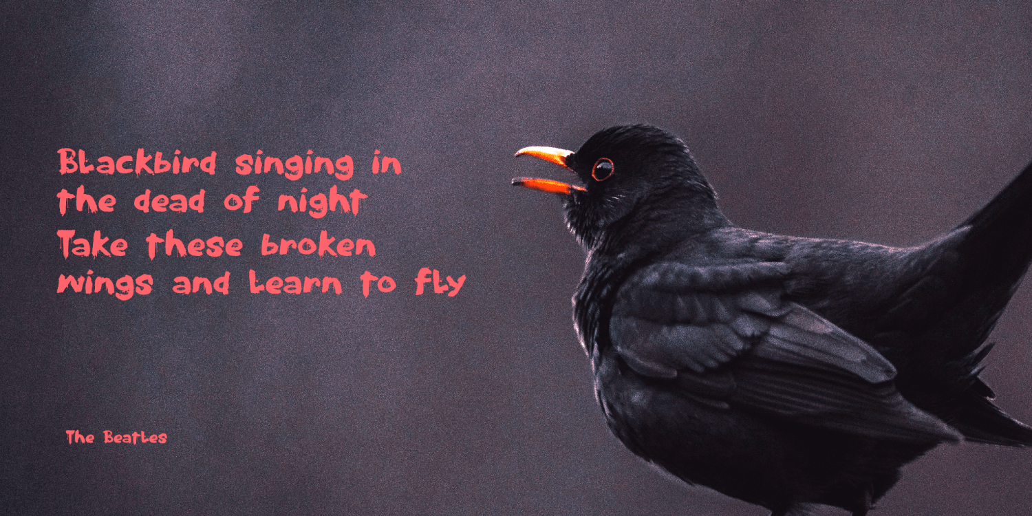 Nightbird 2024 Font Poster #1
