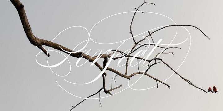 Compendium Font Poster #1