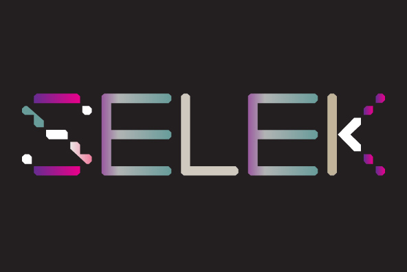 YWFT Selek Bold Font Poster #1