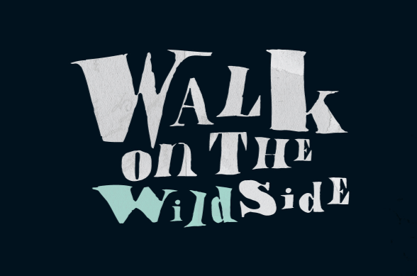 YWFT Attic Font Poster #1