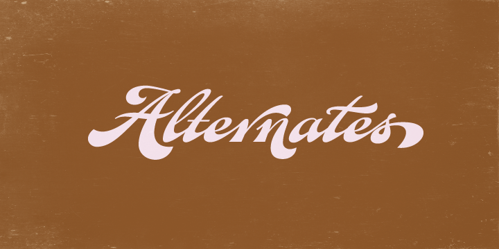 Fan Script Font Poster #1