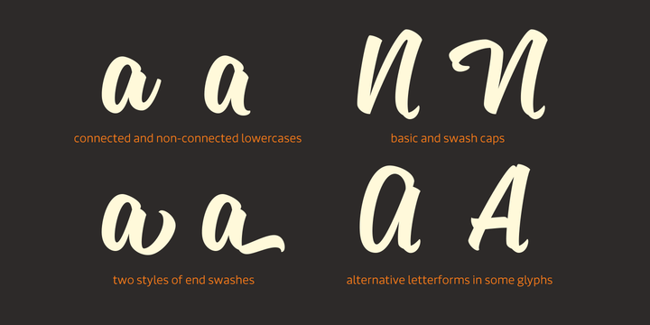 Sanelma Font Poster #1