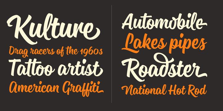 Sanelma Font Poster #1
