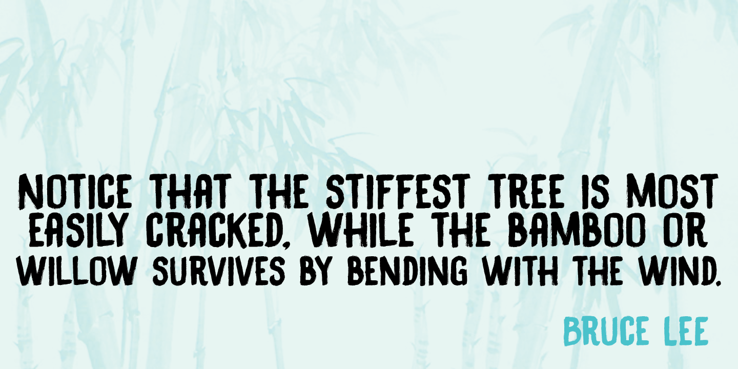 Black Bamboo Font Poster #1