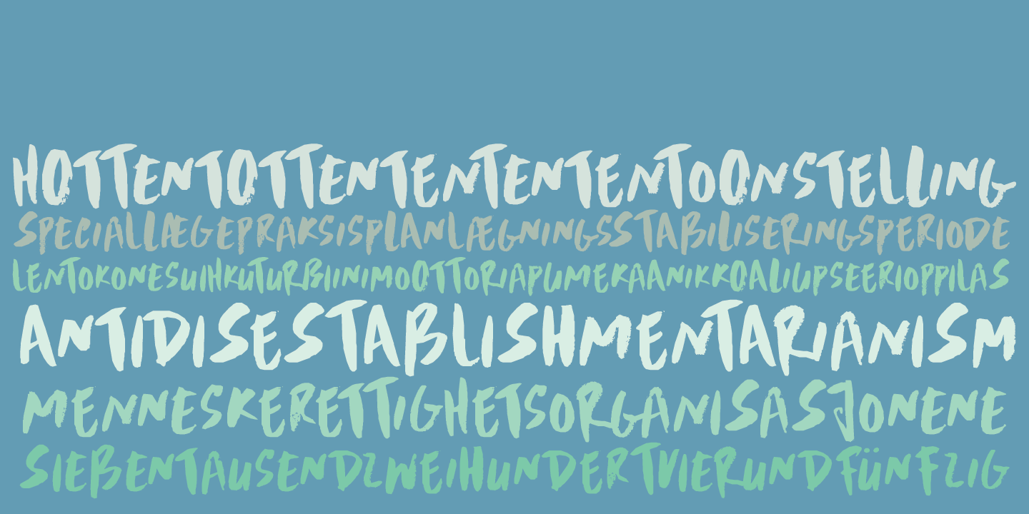 Scrawny Cat Font Poster #1